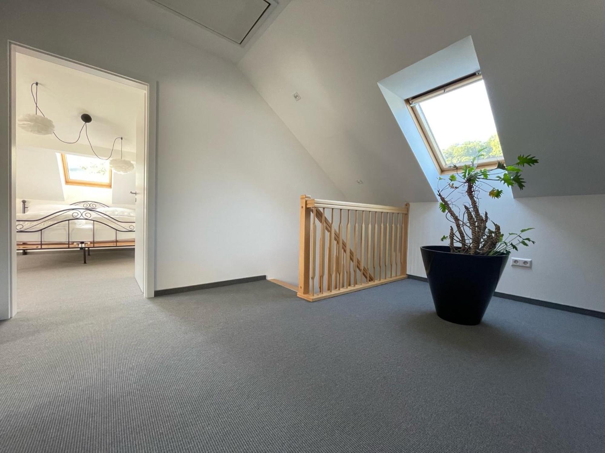 Stilvolle Wohnung Fuer 2-3 Personen - Mit Riesiger Dachterrasse Haigerloch Eksteriør billede