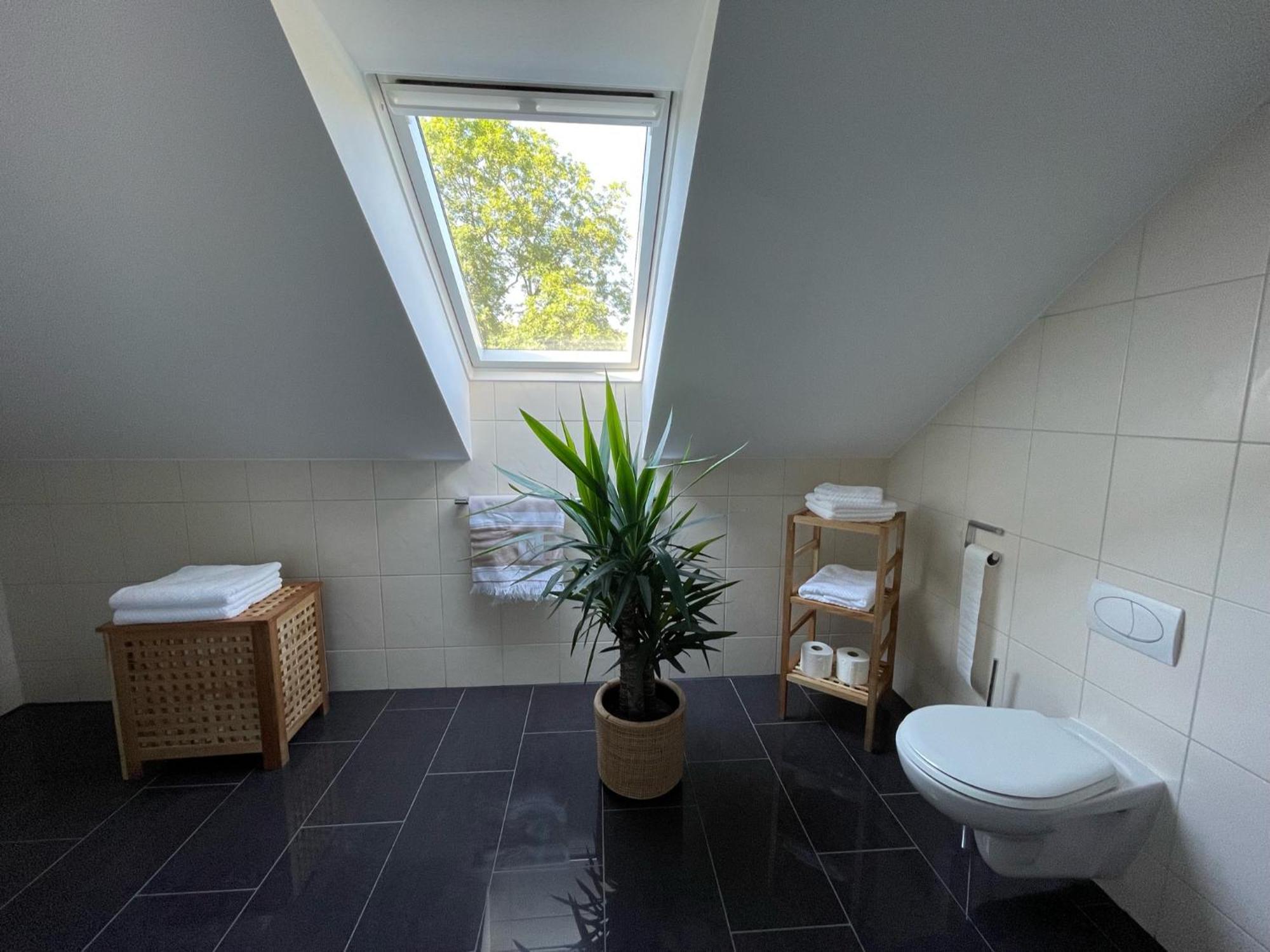 Stilvolle Wohnung Fuer 2-3 Personen - Mit Riesiger Dachterrasse Haigerloch Eksteriør billede